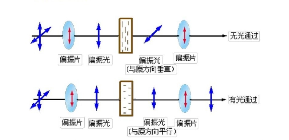 濾光片