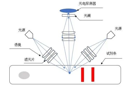 熒光層析儀非共聚焦光路