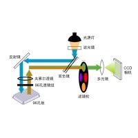 什么是熒光定量PCR、數字PCR？