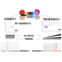 線性漸變?yōu)V光片是什么？有何特點(diǎn)？