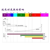 IPL技術(shù)原理特點及其應用